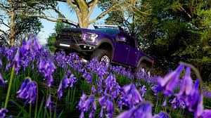 It has a wide growth pattern which will fill your garden. Purple Mountain Majesty Forza