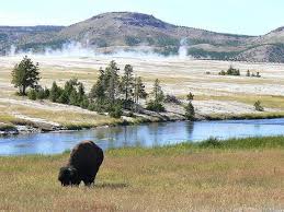 Please Search Again Yellowstone National Park National Parks National Park Photos