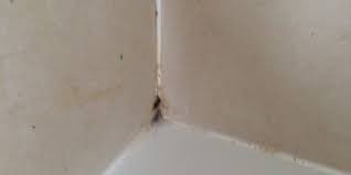 how to check for bathroom leaks my