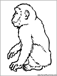 My favorite animal is coloring page. Chimpanzee Coloring Page