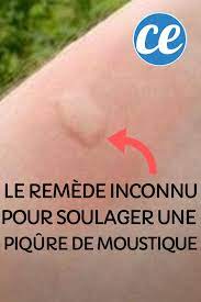 Je recommande l'usage du baume du tigre rouge pour soulager efficacement les piqures de moustiques. Epingle Sur Anti Moustique