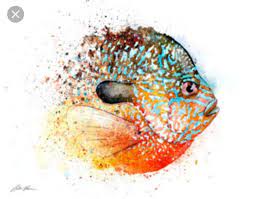 Pumpkinseed Sunfish Watercolor Tattoo Idea Watercolor Art Lessons Watercolor Tattoo Watercolor
