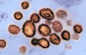 Nhs information about coronavirus vaccines, including vaccine safety and who can get the vaccine. How To Redesign Covid Vaccines So They Protect Against Variants