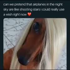 Apr 13, 2010 · airplanes lyrics: Can We Pretend That Airplanes In The Night Sky Are Like Shooting Stars I Could Really Use Awish Right Now