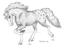 Easy Realistic Horse Drawing Info Easy Horse Drawing Easy Drawings Sketches Easy Drawings Horse, realistic brown horse on green grass. easy drawings sketches
