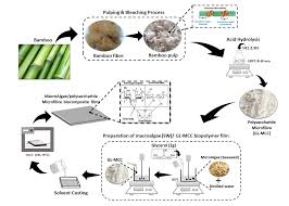 How long it takes to drive from taman melawati to klcc area? Polymers Free Full Text Properties Of Macroalgae Biopolymer Films Reinforcement With Polysaccharide Microfibre Html
