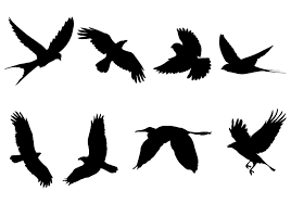 Bird In Flight Silhouette Bird Free Vector Art 15958 Free Downloads Flying Bird Silhouette Bird Silhouette Flying Bird Drawing