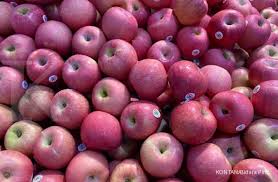 Selain itu dalam satu buah wortel juga memiliki nutrisi yang sangat lengkap seperti vitamin a, vitamin c, mangan, vitamin b komplek, kalium, folat, vitamin e, dan fosfor. 7 Makanan Ini Efektif Menurunkan Gula Darah Lo