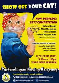 Klinik haiwan bandar baru uda. Announcement Pertandingan Kucing Kampung From Emily To You