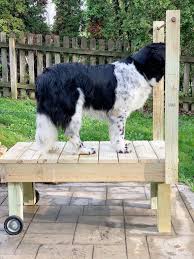 Diy Grooming Table For Big Dogs My Brown Newfies In 2020 Big Dogs Dog Hammock Diy Dog Wash