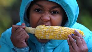 Palmer Park's Harvest Fest ushers in fall fun