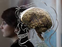 Does brain training make you smarter?