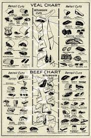 Vintage Butcher Chart Beef And Veal Meat Illustration 18x24