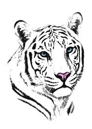 Ver tigre blanco (2021) online gratis hd completa en español en gnula.app. Tigre Blanco 2 Anna March
