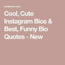 Cool Cute Instagram Bios Best Funny Bio Quotes New Funny Bio Quotes Funny Bio Bio Quotes