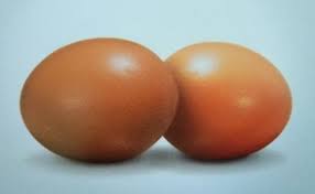 We did not find results for: Rutinlah Mengonsumsi Telur Ayam Agar Tubuh Kita Kuat Menangkal Covid 19 Agrikan