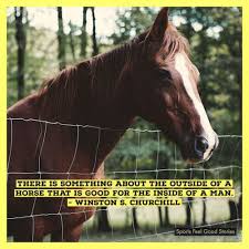 30x36 high profile modular barn with 4 stalls, tack/feed room, office, loft and overhang. Best Horse Quotes To Unharness Your Spirits Sports Feel Good Stories