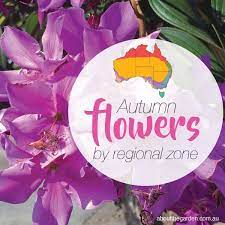Perhaps, that may hold the key. Autumn Flowers Planting Guide By Regional Zones About The Garden Magazine