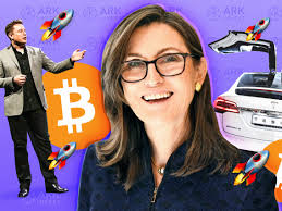 Since then, arkk stock has increased by 149.4% and is now trading at $117.07. 5rzljzylbzisqm