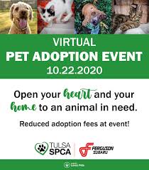 Cats dogs rabbits kittens puppies bunnies adopt central massachusetts ma mass. Tulsa Spca Tomorrow Is The Big Day Receive Facebook