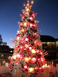 The city of san diego throws a massive festival called december nights to celebrate the oncoming holiday season in scenic balboa park. A Bit Of Holiday Magic In Balboa Park Cool San Diego Sights