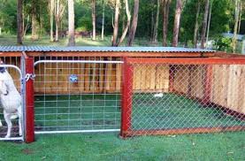 Pig Pen Goat Pen Raising Pigs Backyard Farming