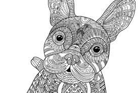 Download Wild Imagination Coloring Book Loose Leaf Book Wild Imagination Coloring Book Loose Leaf Book Subscription Box Cratejoy