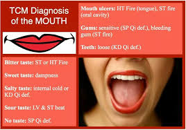 Pin By Pepijn On Acupuncture Acupressure Tcm Mouth Ulcers Sour Taste Acupressure
