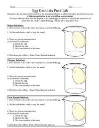 Osmosis with an egg lab: Egg Osmosis Lab Report By Mrs Theo S Science Classroom Tpt