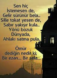 guzel sozler hulya adli kullanicinin aski muhabbet panosundaki pin yaya ayi