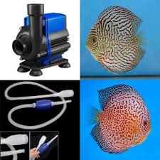 Nicrew Multi Colored Led Aquarium Air Stone Disk Round Fish Tank Bubbler With Auto Color Changing Leds Round Fish Tank Multi Color Led Fish Tank