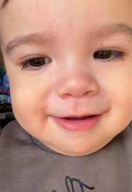 Exciting Journey with KO at Home: Nicholas Petkovic