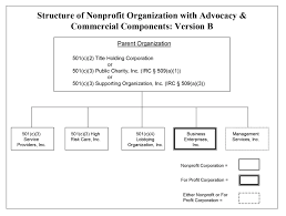 501 c 3 parent organization with subsidiaries hurwit