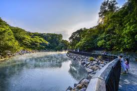 Sugar pea · 7 interesting facts about . Top 15 Things To Do In Taipei