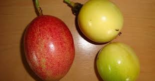 Les Fruits De Guadeloupe Part 1 Geocaching Guadeloupe Fruit Apple Pear