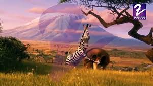 Check out some of our favorite child stars from movies and television. Madagascar In Hindi Madagascar Europe S Most Wanted 2012 S03e01 360p Video Dailymotion