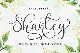 Gimp will let you use any font in fontconfig's you can see what the font looks like, and click your favorite fonts so that their files are to be installed on the system. Shanley A Romantic Calligraphy Font 673351 Calligraphy Font Bundles
