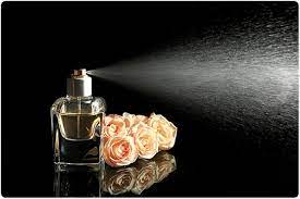 Good things need not to be talked about…they speak themselves. Perfume Allergy