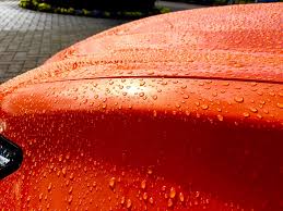 Image result for Molten 2017 GSF