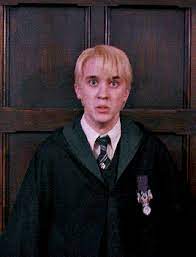 He was the son of wealthy muggle tom riddle sr., and witch merope gaunt, who died shortly after childbirth. Humorgifs Harry Potter And The Order Of The Phoenix 2007 Dir Harry Potter Draco Malfoy Draco Malfoy Harry Potter Face