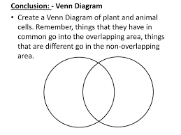 Plant or animal cell venn diagram. Ppt Comparing Plant And Animal Cells Powerpoint Presentation Free Download Id 2217895