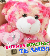 Osito De Peluche Fotos De Osos Saludos De Buenas Noches Feliz Y Bendecido Domingo