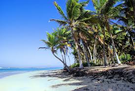 See 6,628 traveler reviews, 9,653 candid photos, and great deals for hotel riu republica, ranked #69 of 159 hotels in punta cana and rated 4 of 5 at tripadvisor. Republica Dominicana Punta Cana Foto Gratis En Pixabay
