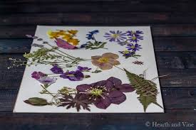Aug 22, 2021 · make a 1 ⁄ 2 in (1.3 cm) thick bouquet of flowers and herbs. Pressed Flower Resin Tray Makes A Beautiful And Unique Gift Hearth And Vine