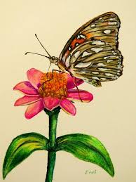 Passion Butterfly On Zinnia Drawing By Zina Stromberg In each coloring page described below, your child will learn fascinating stuff about this gentle and graceful insect. passion butterfly on zinnia by zina stromberg