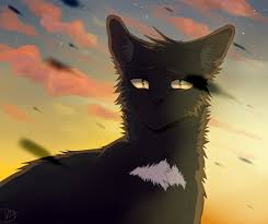 Maybe you would like to learn more about one of these? 29 Warrior Cat Iphone Wallpaper Ryan Wallpaper