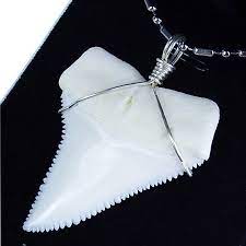Gemshark Real Shark Tooth Necklace For Men 1 8 Inch Great White Sterling Silver Stainless Steel Chain Necklace Shark Tooth Necklace Sterling Silver Wire Wrap