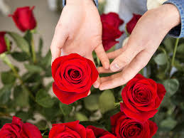 Hours may change under current circumstances Diva Flor Expert Wholesale Cut Flower Suppliers From Ecuador And Colombia
