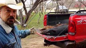 Texas is known for its hog hunting. Hog Hunting Free Texas Hog Hunting