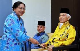 Ia lahir sebagai anggota keluarga kerajaan perak. Maharum Bugis Syah Mbs